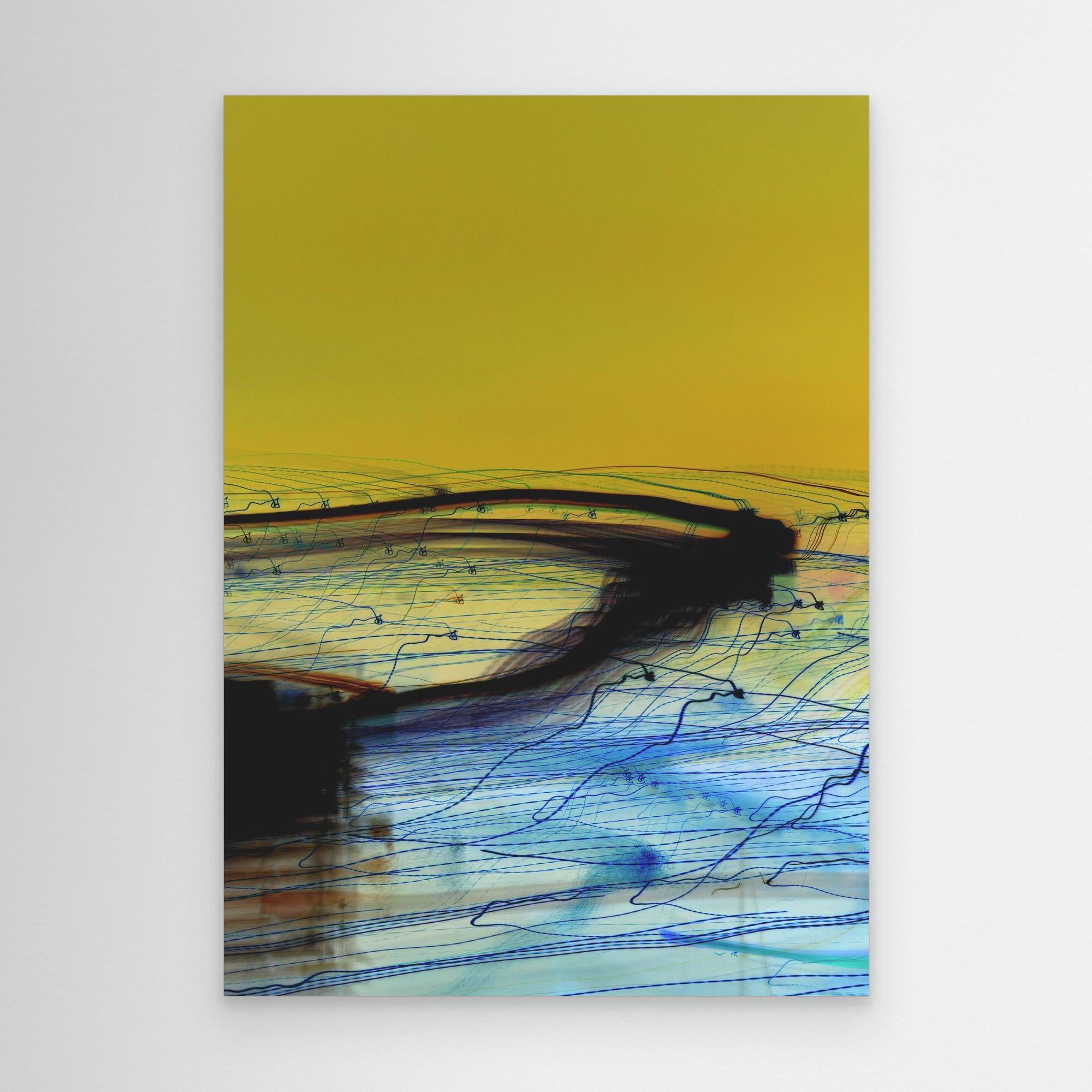 P5 Black Feather Swan