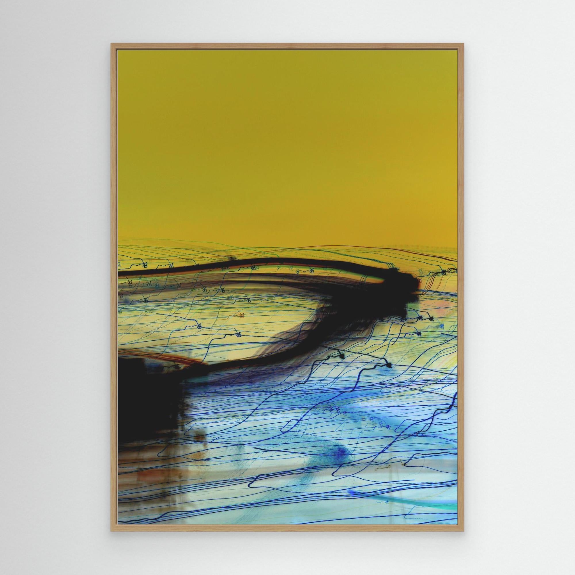 P5 Black Feather Swan