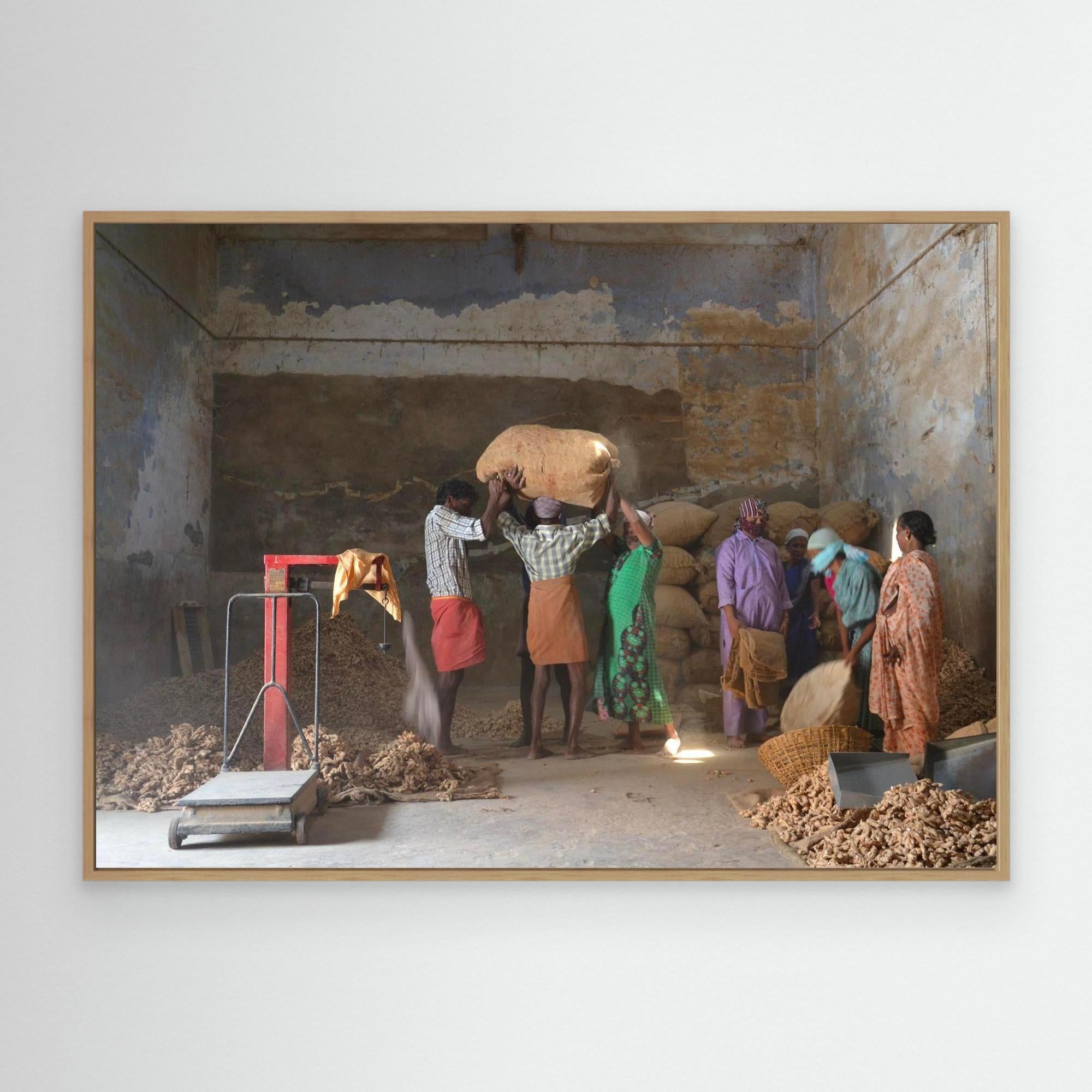 P44 The Ginger Poeple