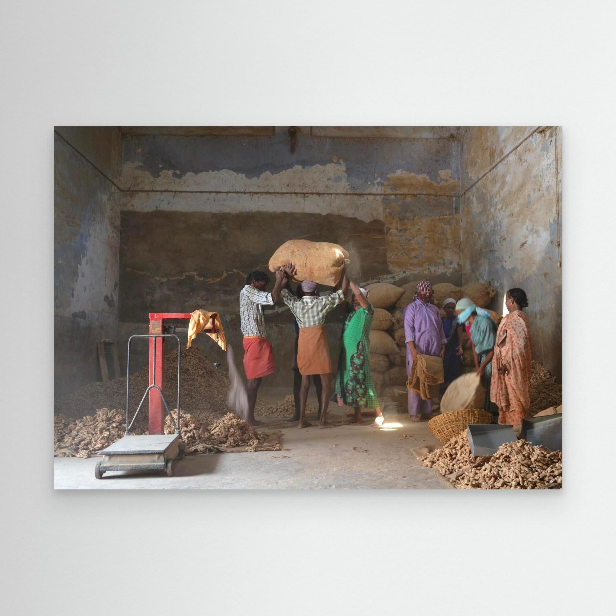 P44 The Ginger Poeple