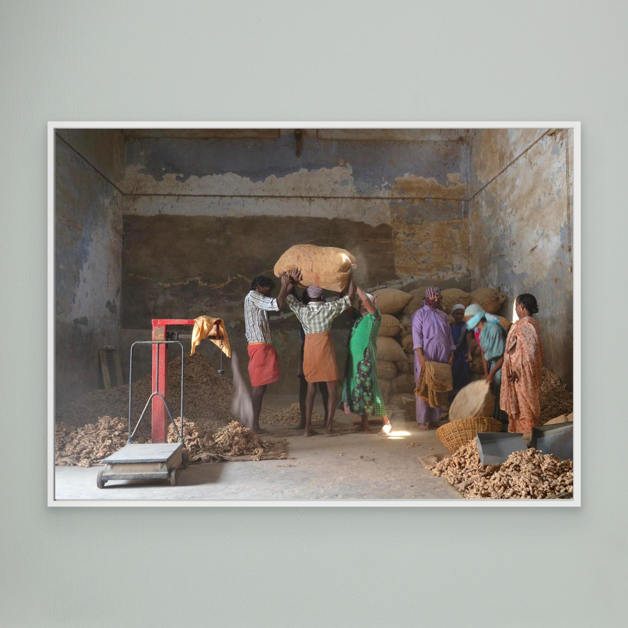 P44 The Ginger Poeple